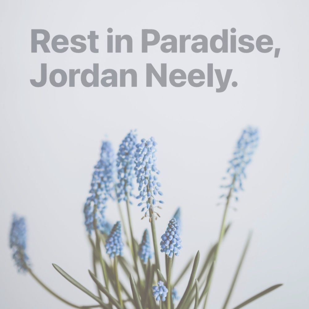 at the top, light black text says "Rest in Paradise, Jordan Neely." underneath is a photo of a bunch of light blue flowers. the background is a plain pale white wall.
